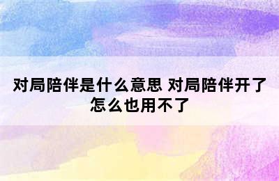 对局陪伴是什么意思 对局陪伴开了怎么也用不了